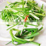 Metal Desk-top Onion Cutter, Vegetable Cutter, Home Use Vegetable Cutting Machine Mob/whatsapp:+86 18281862307 (May Liao) thumbnail-4