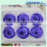 Natural Preserved Fresh Flowers Preserved Roses Wholesale thumbnail-4