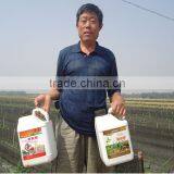 Amino Acids,Alginic Acid, Mannitol, Calcium(Ca)Liquid Soluble Fertilizer thumbnail-4