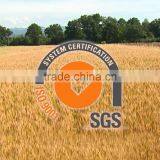 Food Grade Water Soluble Potassium Humic Acid Factory thumbnail-6