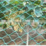 long life quality guarantee agricultura bird net for orchard