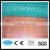 20 Gauge Pvc Coated Hexagonal Wire Netting thumbnail-1