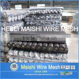 Insect Screen Mesh/Window Screen Mesh/Door Screen thumbnail-6