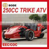 NEW EEC 250CC ATV FOR SALE(MC-369) thumbnail-1