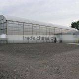Agricultural Greenhouse Used Commercial Greenhouse thumbnail-2