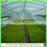 Arched Type Commercial Used Greenhouse for Potatoes for Hot Sale thumbnail-6