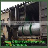 304 7*19 Stainless Steel Wire Rope Factory Price thumbnail-5