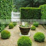 Artificial Leaf Fence,artificial Green Boxwood Hedge thumbnail-2