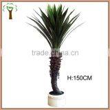 Artificial Yucca Sisal Plant Wholesale thumbnail-1