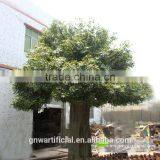 BTR011 GNW 5m High Artificial Ficus Tree for Plaza Decoration thumbnail-2