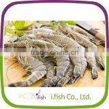 Black Tiger Prawn