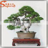 Distinctive Designs a Wide Variety of Artifical Life Size Artificial Decorative Plants and Trees thumbnail-6