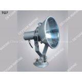 TG7 Spot Light