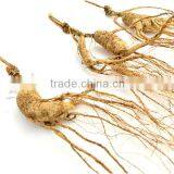 100% Sun Dry 30 Years Wild Ginseng/insam/ninjin Root
