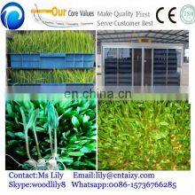 Seed Sprout Machine Barley Sprout Machine thumbnail-4