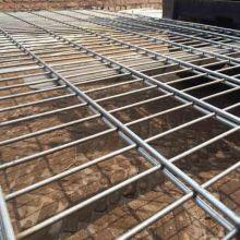 Hot Dipped Galvanized Double Wire Fence Anti Climb Twin Wire Mesh Panel thumbnail-2