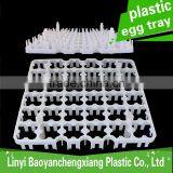Plastic Protect 36 Eggs Incubator Transportation Plastic Quail Egg Tray thumbnail-6