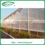 2 Layer Polycarbonate Greenhouse for Cold Area thumbnail-4