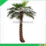 500cm High Bend Artificial Fake Washingtonia Palm Tree