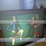 Supply Screen Printing Transparency Film From $35 thumbnail-1