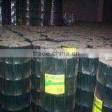 Welded Wire Mesh/Wire Net(Youjie Manufacturer)