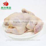 Halal Quality Chicken the Whole Chicken thumbnail-2
