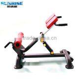 Strength Gym Equipment Roman Chair, Back Extension Gym Machine thumbnail-1