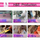 Bra Hook and Eye Tape 1/2" 2X2 Underwear Accessories(CY1222H-B) thumbnail-3