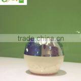 2016 New Model Eli Home Best Deodorants Men in Car in Room in Refrigerator thumbnail-1