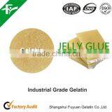 Gelatinas - Para Consumo Humano/En Hojas/En Estado Solido thumbnail-5