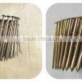 High Quality Free Sample Common Coil Nail thumbnail-4