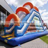 New Style Inflatable Slide , Children Inflatable Dry Slides thumbnail-5