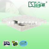 Denmark Bed Mattress Thin Massage 15-Year Warranty Furniture