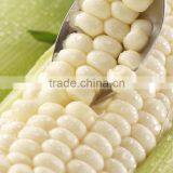 Frozen Whole Kernel Corn Chinese Sweet Yellow Corn thumbnail-1