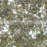 OP Green Tea 2014 thumbnail-1