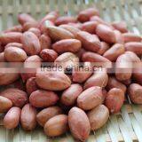 New Crops Red Skin Peanut Kernel thumbnail-4