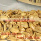 Hot Sale Healthy Snack Fried and Salted Peanuts