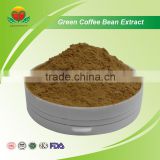 High quality Green Coffee Bean extract