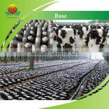 Lower Price Black Fungus Powder thumbnail-2