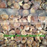 IQF Suillus Granulatus thumbnail-2