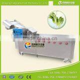 WA-1000 Automatic Washer Type and New Condition Vegetable Seafood Fruits Bubble Processing Cleaning Machine thumbnail-5