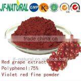 Red grape extract GMP KOSHER factory