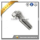 Customized Flange Head Hex Bolts With Hex Nuts,washer thumbnail-4