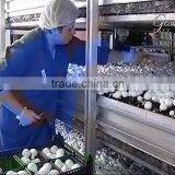 Aluminum Alloy Planting Frame thumbnail-1