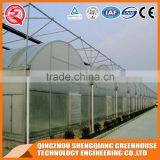Multifunction Plastic Greenhouse for Agricultural Farming thumbnail-6