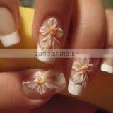 Attractive Nail Art Printing Machine With pc in India thumbnail-1