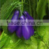 Artificial Eggplant Vegetable Vine Flower Bine