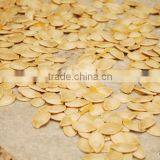 Pumpkin Seeds thumbnail-1