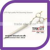 Professional Hair Pet Grooming Scissors