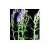 Baicalin thumbnail-1